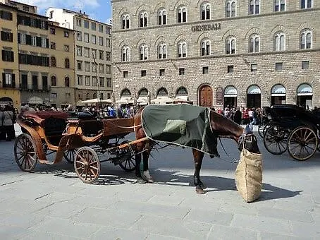Piccolo Signoria Apartment Firenze 0*,  Italia